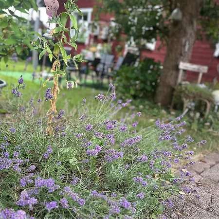 Midsommar דירה *