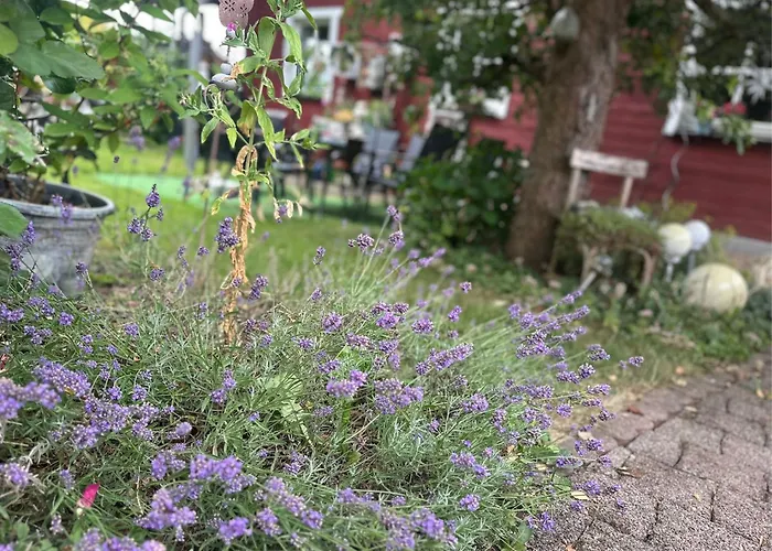 Apartment Midsommar